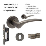 APOLLO - Graphite Nickel - Just Doors QLD