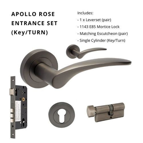 APOLLO - Graphite Nickel - Just Doors QLD