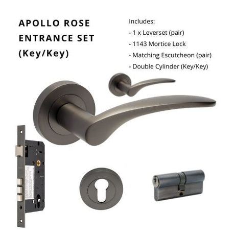 APOLLO - Graphite Nickel - Just Doors QLD