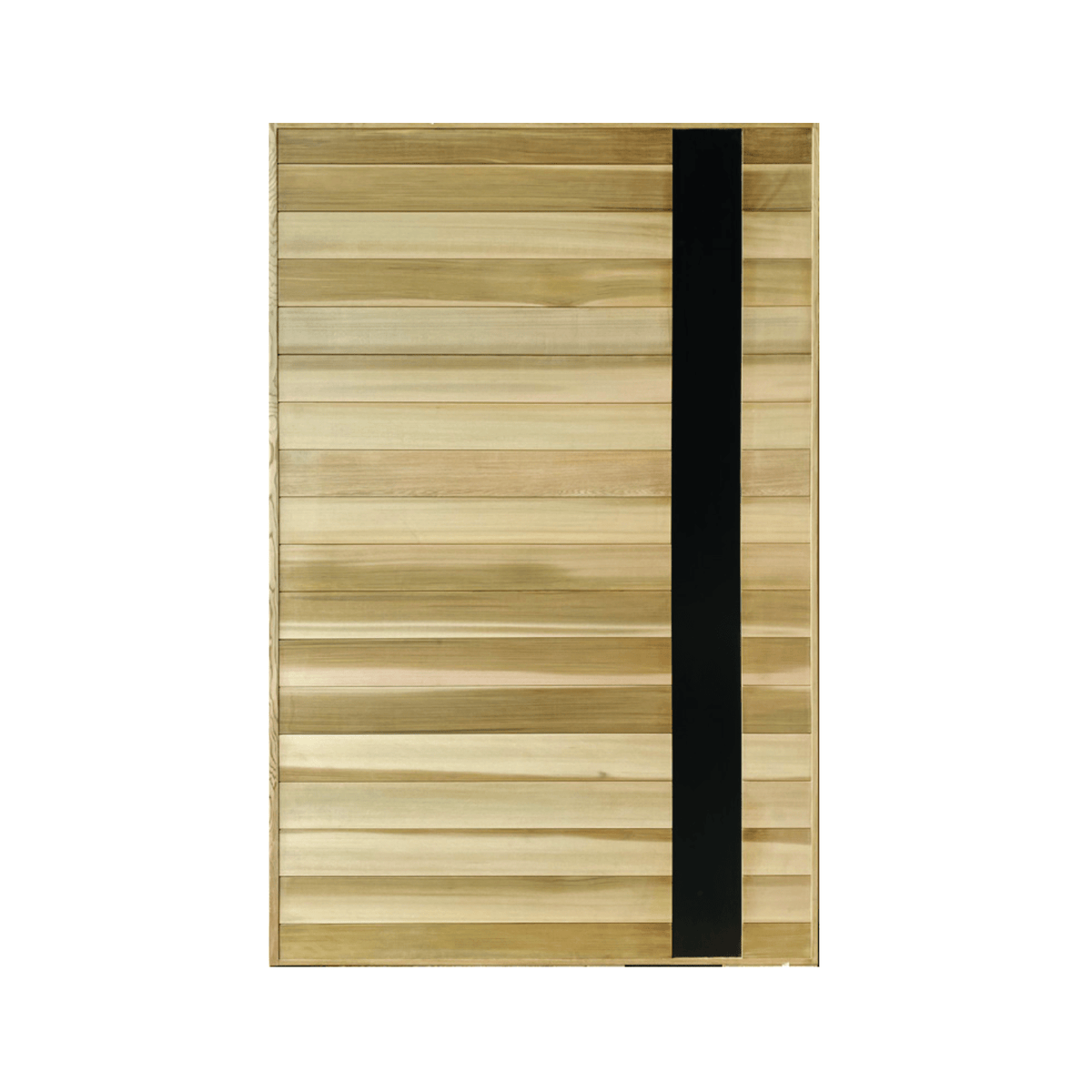Black-Feature Horizontal Cedar Cladding Door – Supply Only - Just Doors QLD