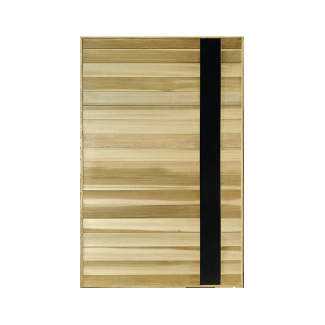 Black-Feature Horizontal Cedar Cladding Door – Supply Only - Just Doors QLD