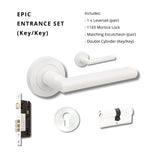 Zanda Epic Door Handles - Colour Sample - Just Doors QLD