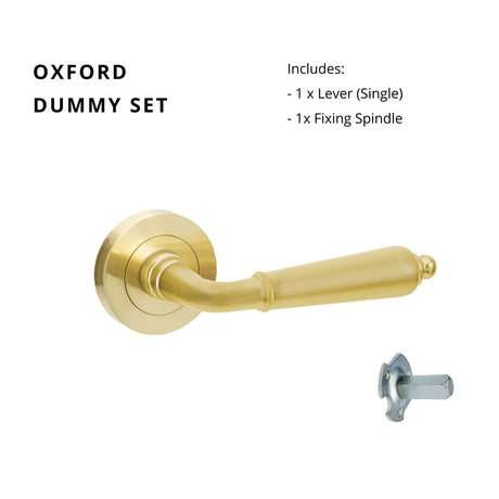 Zanda Oxford - Satin Brass Door Handles - Just Doors QLD