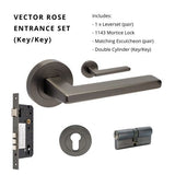 Zanda Vector - Graphite Nickel Door Handles - Just Doors QLD