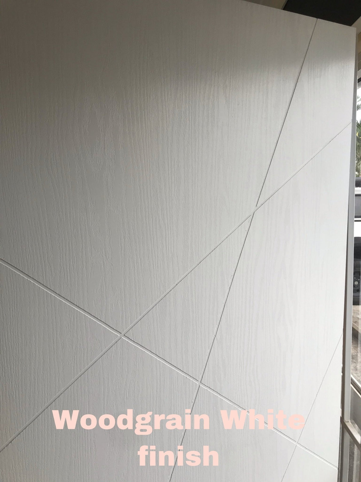Armoured Door Range — 1200 x 2040 x 40mm - Just Doors QLD