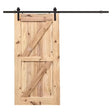 B6 - Double Z Brace barn door - Just Doors QLD